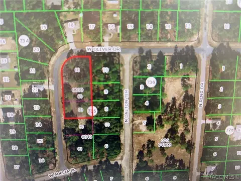 Citrus Springs Land Package