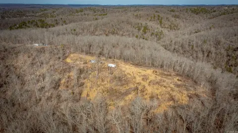 Wooded Hunting Land