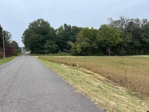 Commercial Land on Skyhawk Parkway