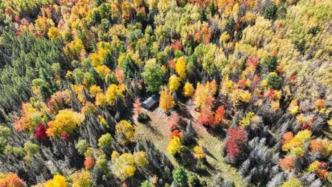 Hunting Land with UTV Trails