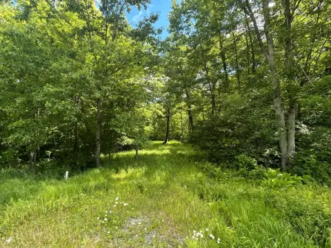 Hunting Land with Trail System
