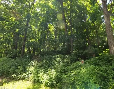 Wooded Lot in Wintergreen Mountain