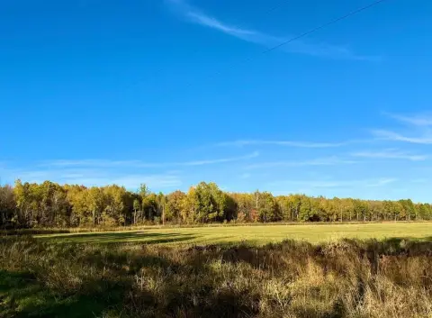 Hunting Land with Trail Network
