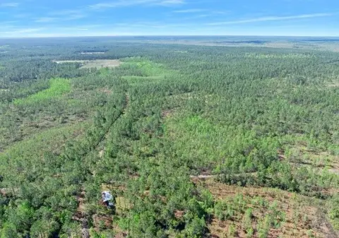 Fenced Hunting and Pasture Land