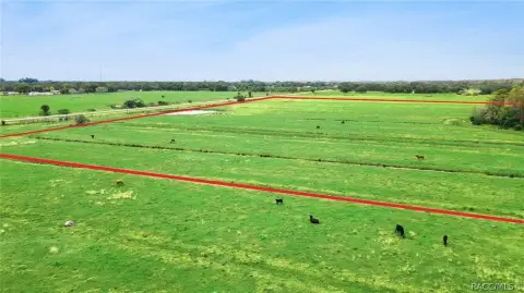 37 Acres Agricultural Land, Kissimmee