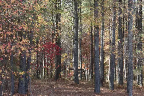 Residential Land in Jasper, TN