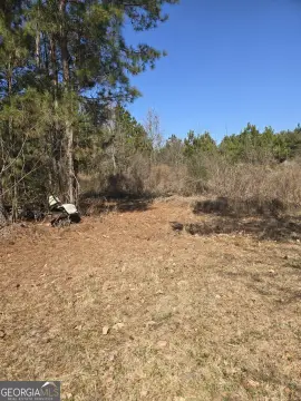Wooded Land in Brooklet, GA