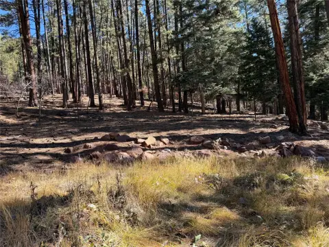 Chama, NM Wooded Lot