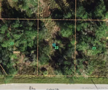 Residential Land in Punta Gorda