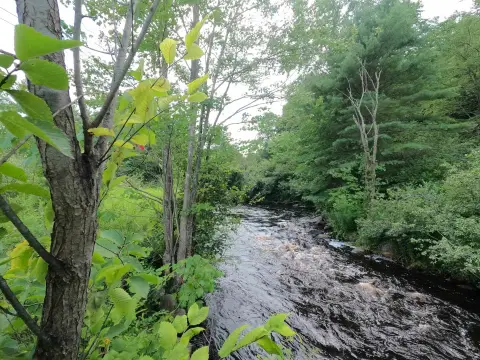 Land with Otter River Frontage