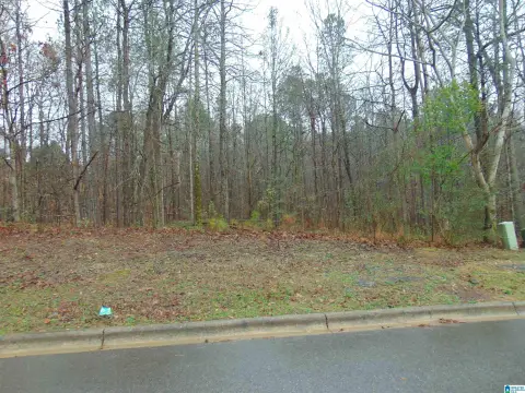 Residential Lot in Birmingham, AL