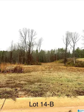 Land Lot in Woodstock, AL