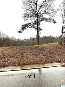 Residential Lot in Woodstock, AL
