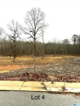 Residential Lot in Woodstock, AL