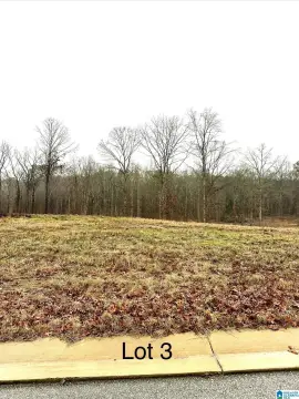 Residential Lot in Woodstock, AL