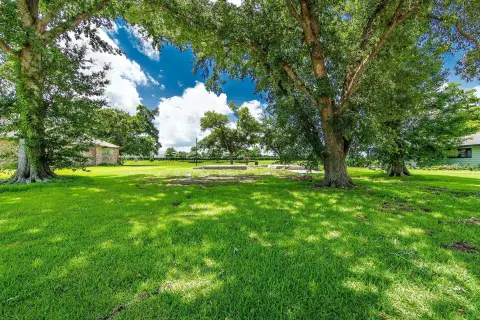Residential Home Lot with Shade Trees