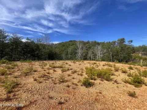 Tellico Plains Mountain Land Parcel