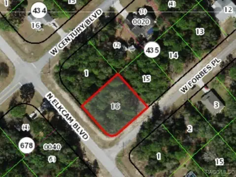 Citrus Springs Buildable Residential Lot