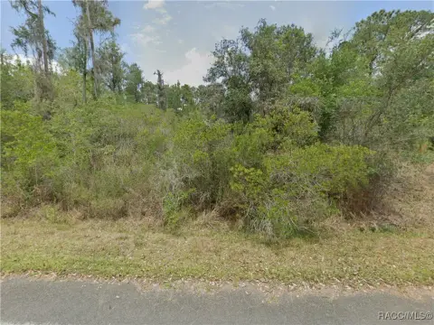 Crystal River Vacant Land