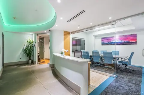 Bright Manhattan Office Suite