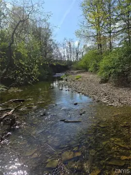 Bliss, NY Wooded Land