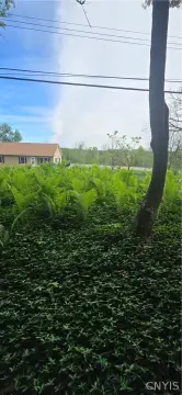 Land For Sale, Kirkland, NY