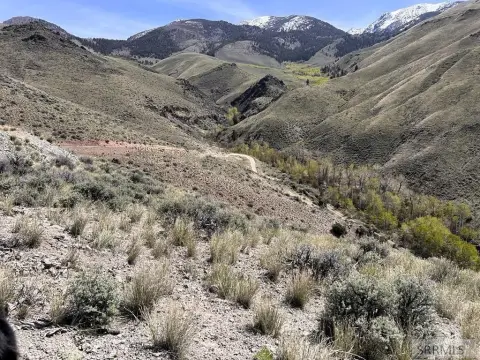 Scenic Mountain Land Near Salmon
