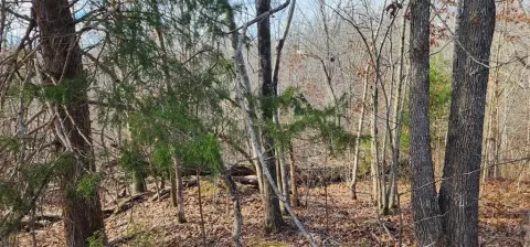 Undeveloped Lot Near Boating Access