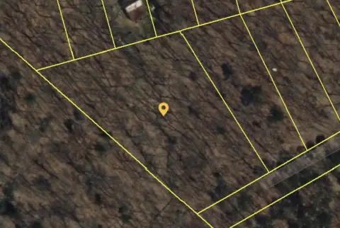 Wooded Land in Dunlap, TN