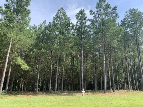 Jasper Highlands Land Opportunity