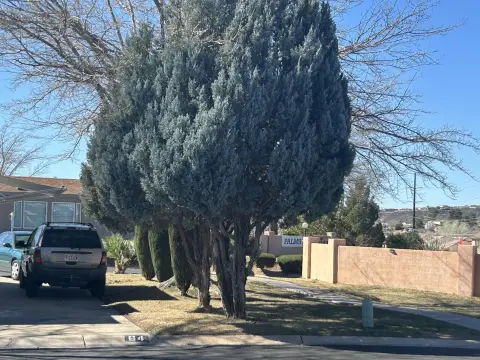 RV Lot in 55+ Community