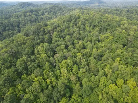 Timber and Hunting Land with Stream