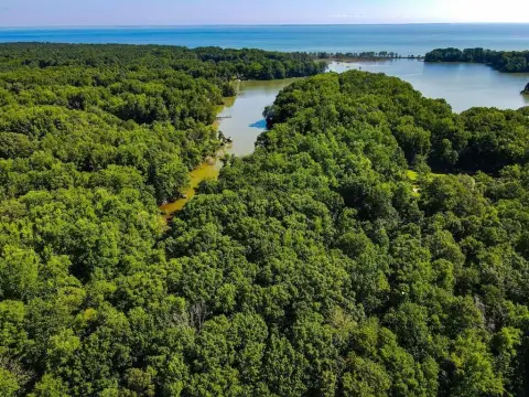 Wooded Lot Near Potomac River