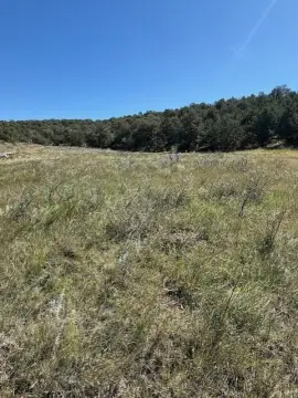 40 Acres in Edgewood, NM