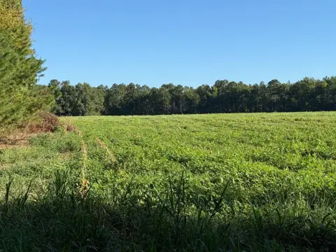 Agricultural Land with Pond