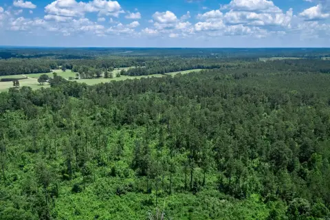 Recreational Timberland Acreage