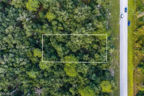 Wooded Industrial Land