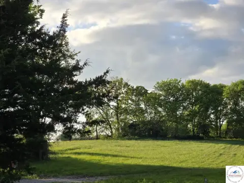 80 Acres Pasture Ground Clinton