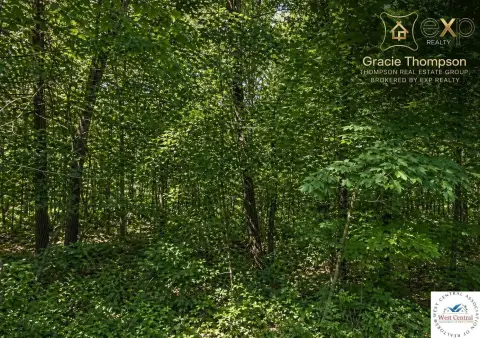 Vacant Land Near Lake Ozarks