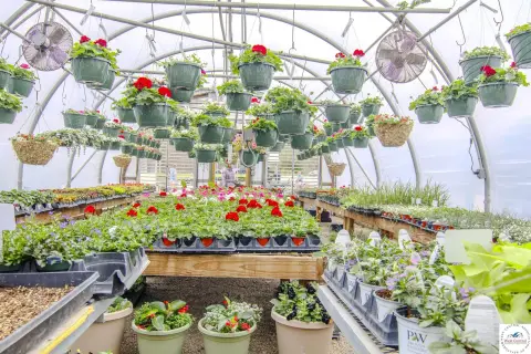Industrial Property with Greenhouse