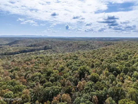 352.81 Acres Wooded Land