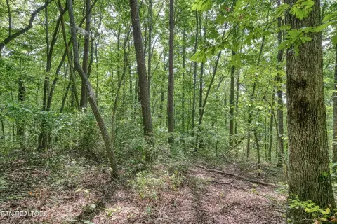 Cumberland Cove Land Opportunity
