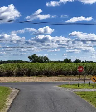 High-Traffic Commercial Land