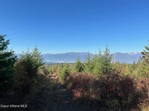 Mountain Acreage Homesite Land