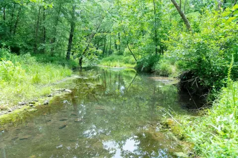 Creekfront Hunting Land