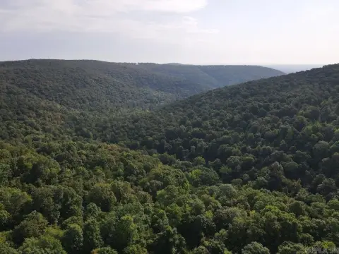Ozark Hunting Land