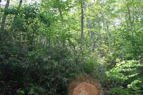 Undeveloped Lot with Valley Views