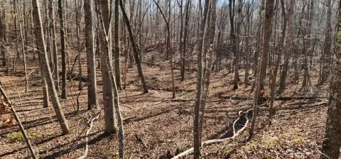 Holladay, TN Vacant Lot