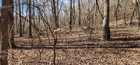 Vacant Lot in HOLLADAY, TN