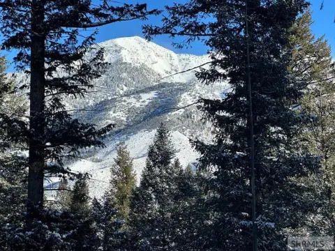 Wooded Homesite in Irwin, Idaho